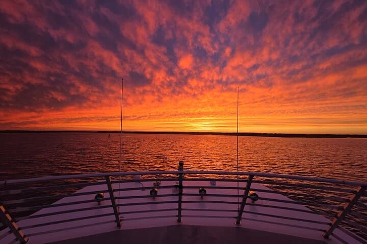 Fort Lauderdale Sunset Cruise: Waterfront Mansions, Skyline Views & Evening Wildlife
