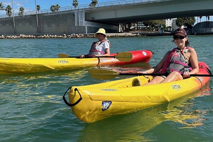 Paddle Sarasota: Single Kayak Rentals at The Bay Park