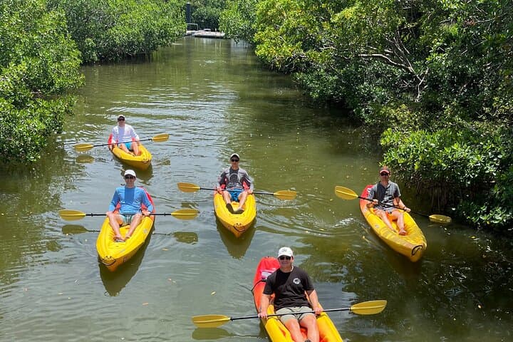 Paddle Sarasota: Single Kayak Rentals at The Bay Park photo 5