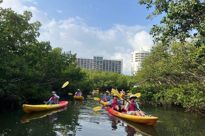 Paddle Sarasota: Single Kayak Rentals at The Bay Park photo 6
