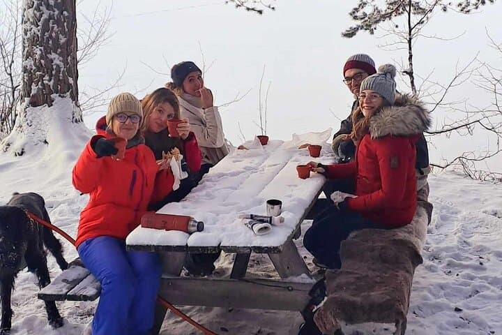 Oslo winter forest hike and campfire with a local guide photo 4