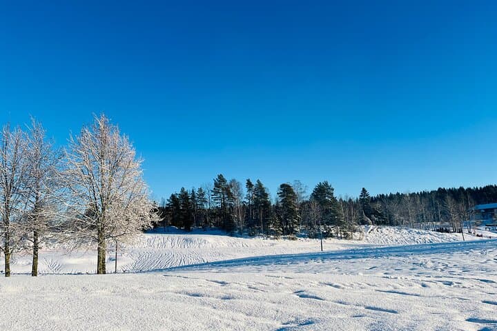 Oslo winter forest hike and campfire with a local guide photo 5
