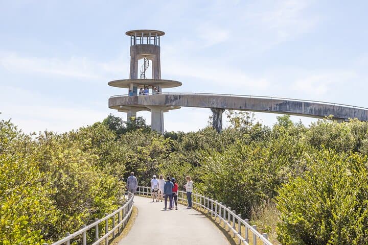 Private Everglades Daytrip from Miami: Shark Valley, Anhinga Trail & Hammocks photo 3