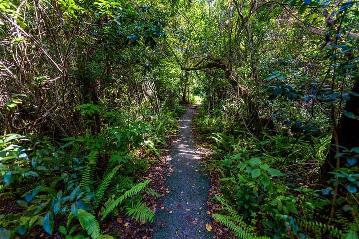 Private Everglades Daytrip from Miami: Shark Valley, Anhinga Trail & Hammocks photo 4