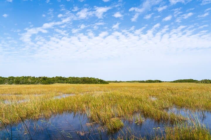 Private Everglades Daytrip from Miami: Shark Valley, Anhinga Trail & Hammocks
