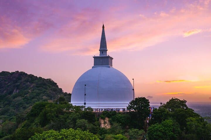 6-Day Highlights of Sri Lanka: Private Tour from Colombo to Yala & Mirissa