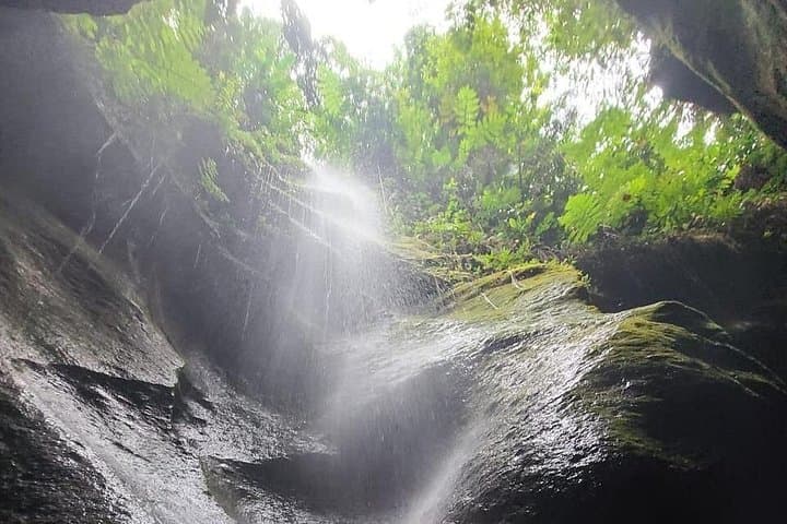 Titou Gorge Swim — Roseau Rainforest Waterfall Adventure in Dominica photo 2