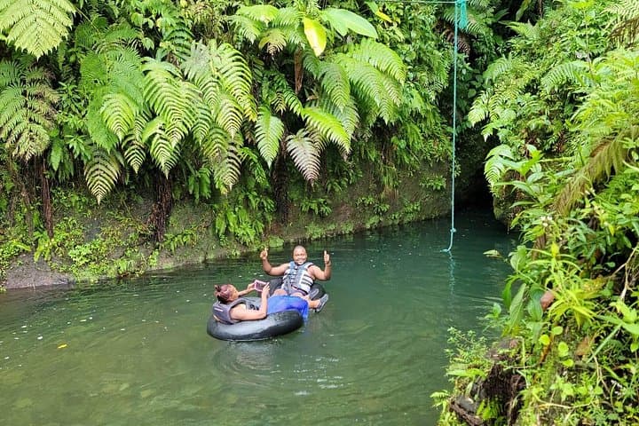 Titou Gorge Swim — Roseau Rainforest Waterfall Adventure in Dominica photo 4