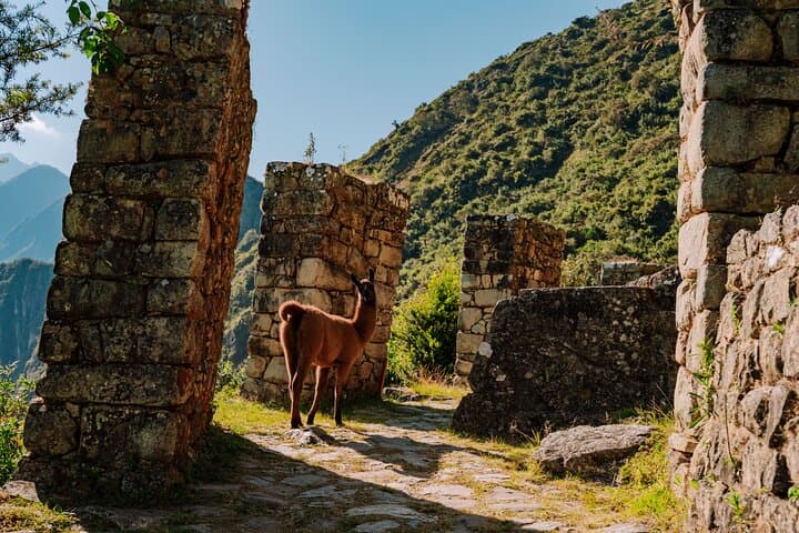 Short Inca Trail Day Hike to Machu Picchu: KM 104, Wiñay Wayna & Sun Gate photo 1