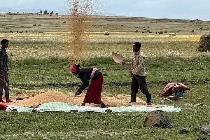 Bale Mountains to Omo Valley: 9-Day Cultural & Wildlife Expedition in Ethiopia photo 2