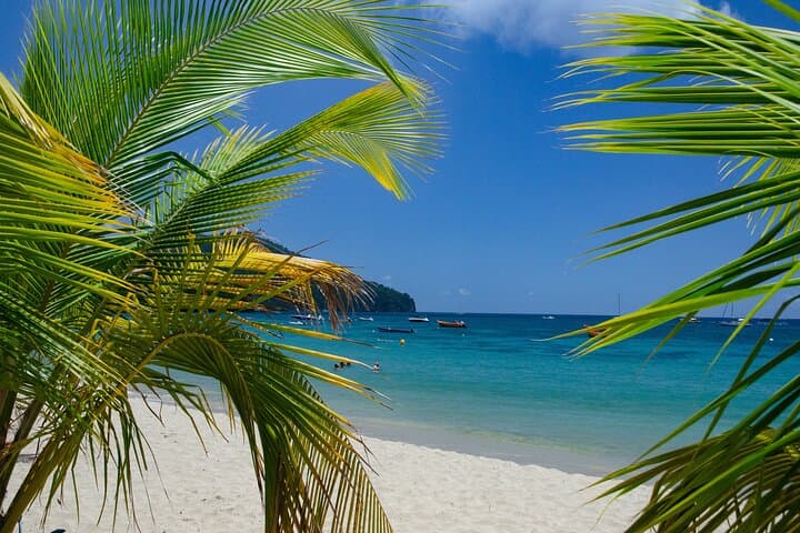 Authentic Southern Martinique Tour: Distillery, Diamond Rock & Beach Stop