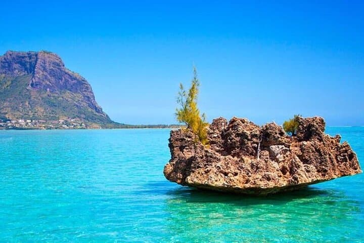 Swim with Dolphins, Snorkel Crystal Rock & BBQ Lunch — West Coast Boat Tour in Mauritius photo 1
