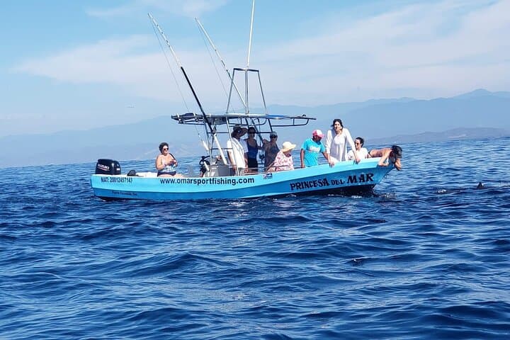Private Family Dolphin and Whale Tour — Puerto Escondido Coastal Wildlife Cruise photo 3