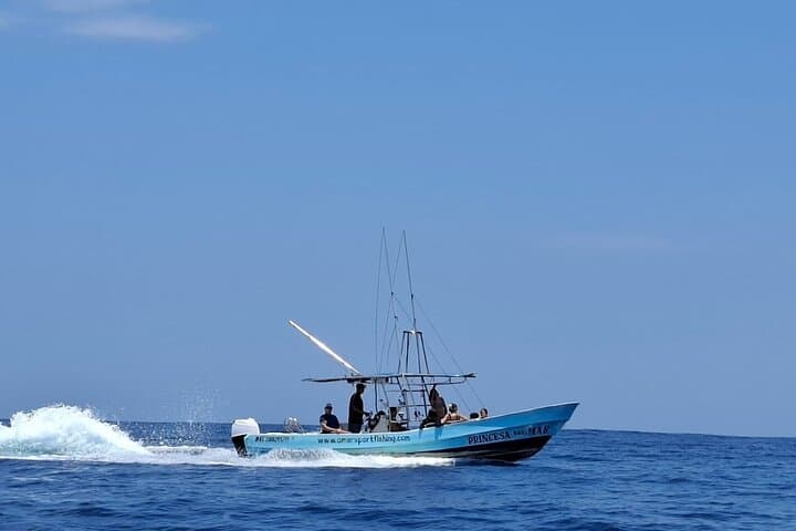 Private Family Dolphin and Whale Tour — Puerto Escondido Coastal Wildlife Cruise photo 4