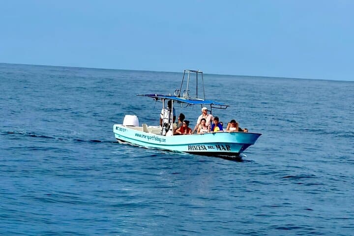 Private Family Dolphin and Whale Tour — Puerto Escondido Coastal Wildlife Cruise photo 5