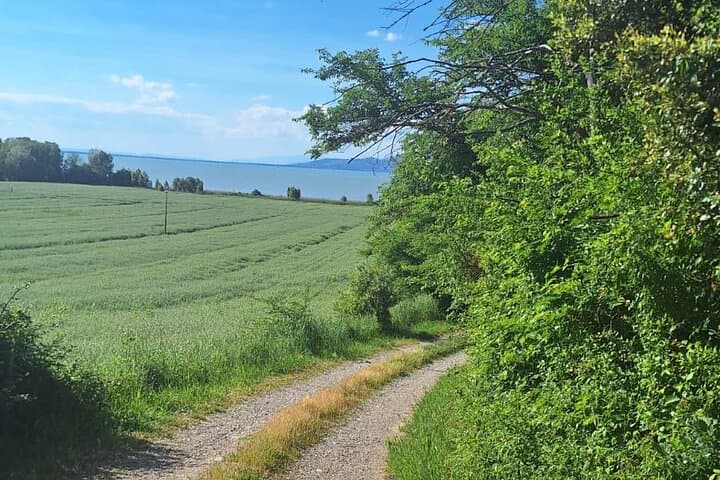 Lake Trasimeno Trekking Tour: Panicale Loop to Magione (12 km) photo 5