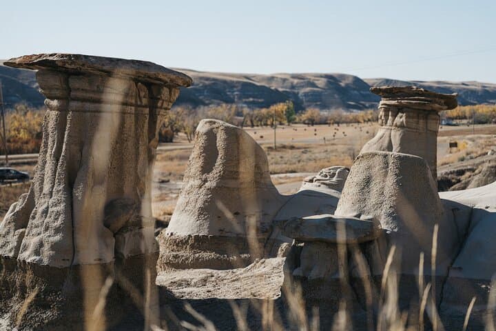 Day Trip to Drumheller Dinosaur Badlands: Calgary to Royal Tyrrell Museum & Hoodoos photo 4