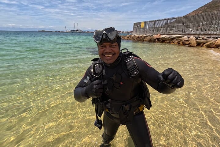 Beginner Scuba Diving in Simon's Town: Kelp Forest Dives with Seals & Penguins photo 5