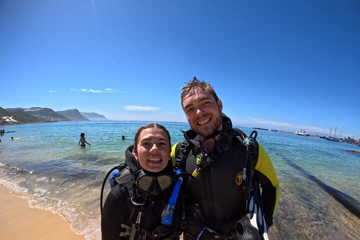 Beginner Scuba Diving in Simon's Town: Kelp Forest Dives with Seals & Penguins photo 6