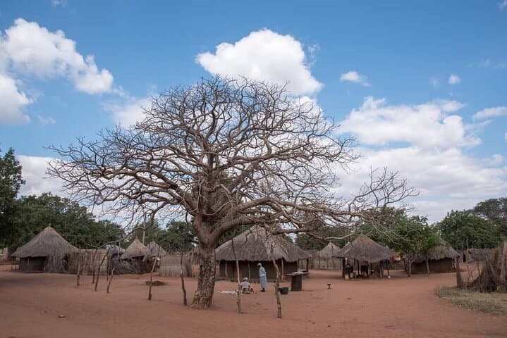 Private Mukuni Village Tour Livingstone Cultural Immersion photo 2