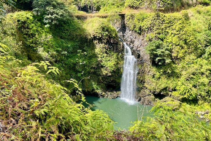 Private Hidden Waterfall Hike & Swim in East Maui (Road to Hana) photo 3
