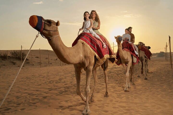 Abu Dhabi Desert Safari: Quad Biking, Dune Bashing & Evening Desert Camp photo 5