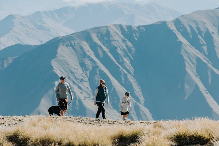Cardrona Summer Gondola: Panoramic Views Over Queenstown & Lake Wakatipu photo 5