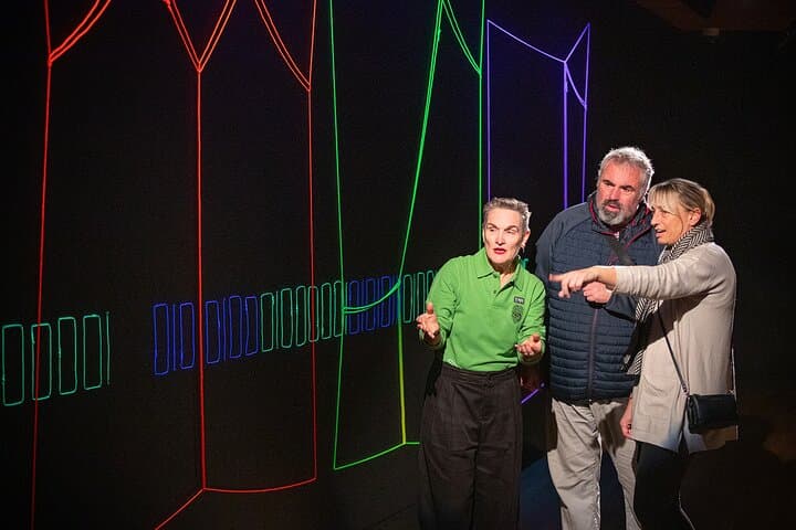 Inside Te Papa: Art Narratives Guided Tour in Wellington photo 4