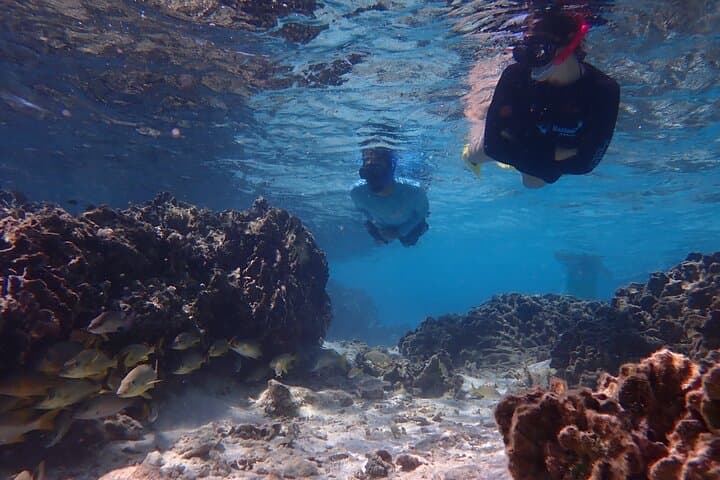 Roatan Private Island Snorkel & Beach Day — Snorkeling the Second-Largest Barrier Reef photo 2