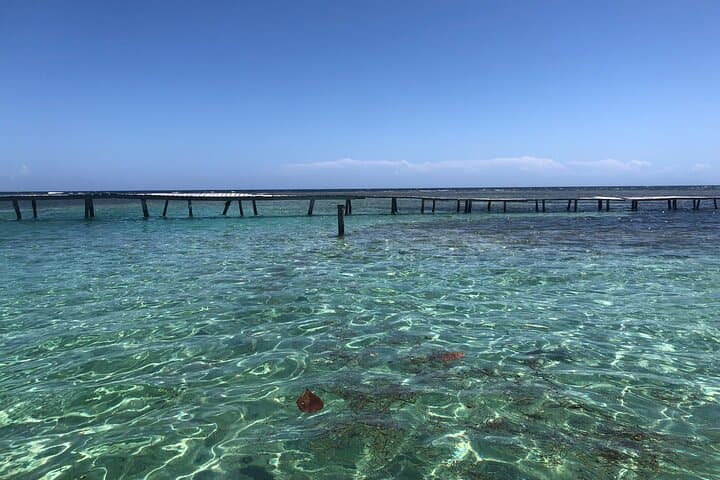 Roatan Private Island Snorkel & Beach Day — Snorkeling the Second-Largest Barrier Reef photo 4