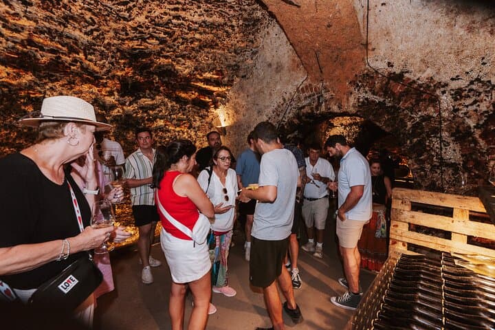 Madrid Countryside Wineries Guided Tour — Tagus Valley Wine Tasting & Tapas photo 5
