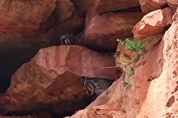 Kalbarri Hidden Gorges: 4WD, Hike & Canoe Adventure on the Murchison River photo 2