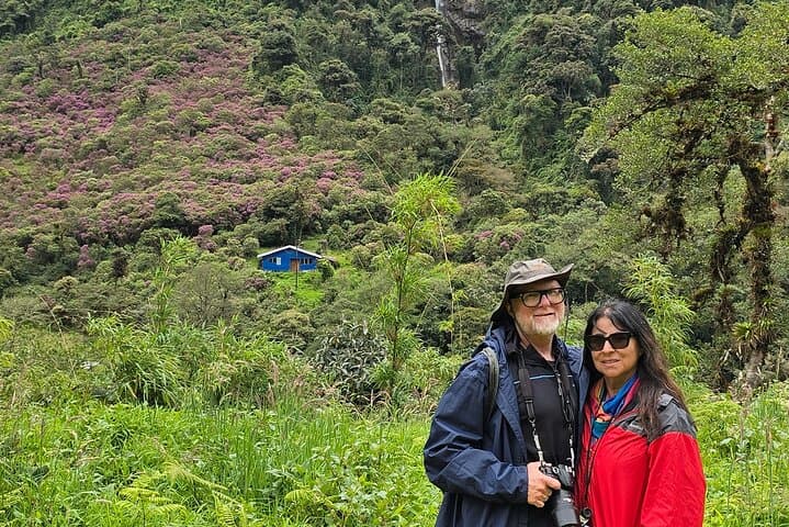 Papallacta Hot Springs & Guango Lodge Birdwatching Day Tour from Quito photo 6