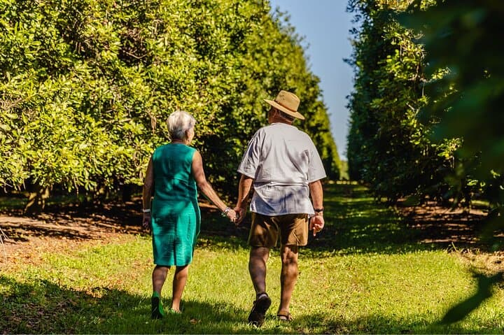 Macadamias Australia Orchard Tour — Bundaberg Macadamia Farm Visit & Tasting