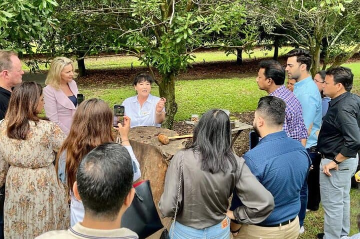 Macadamias Australia Orchard Tour — Bundaberg Macadamia Farm Visit & Tasting photo 2