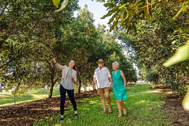 Macadamias Australia Orchard Tour — Bundaberg Macadamia Farm Visit & Tasting photo 3