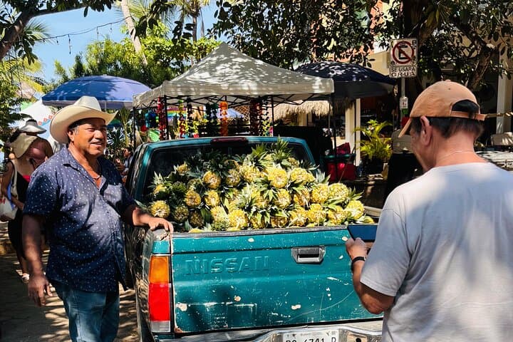 Sayulita and San Pancho Day Trip from Puerto Vallarta: Surf, Art & Beaches photo 2