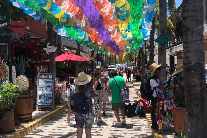 Sayulita and San Pancho Day Trip from Puerto Vallarta: Surf, Art & Beaches