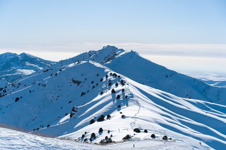 Full-Day Amirsoy, Chimgan & Charvak Mountain Tour from Tashkent photo 2