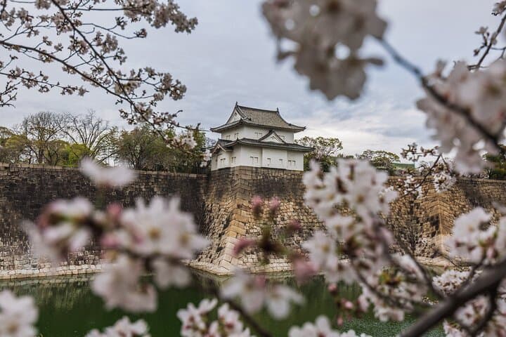 Tokyo Private Sightseeing Tour — Full-Day, Half-Day or 2-Hour Custom City Drive photo 4