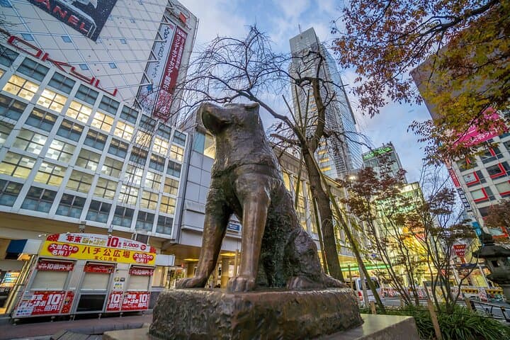 Tokyo Private Sightseeing Tour — Full-Day, Half-Day or 2-Hour Custom City Drive photo 6