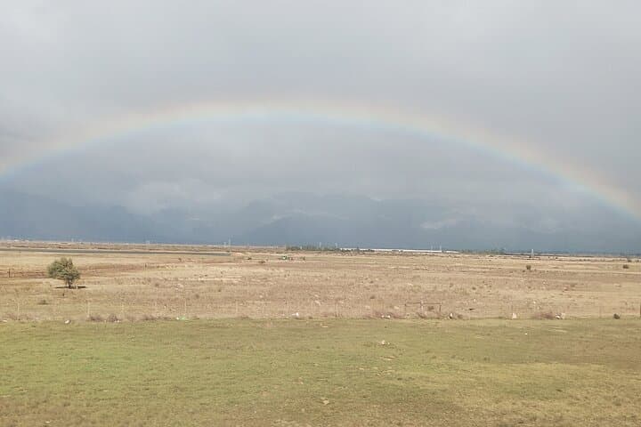 Cape Town to Aquila: Private Transfer to a Big Five Game Reserve