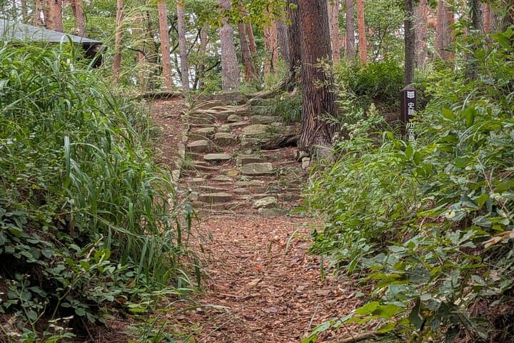 Run Through History: Matsumoto 15K Guided City and Trail Run photo 3