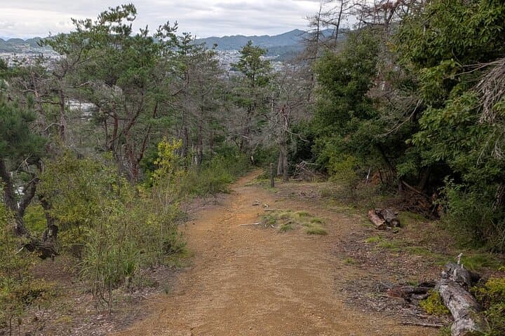 Run Through History: Matsumoto 15K Guided City and Trail Run photo 6