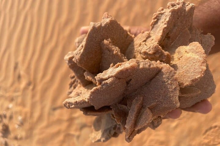Liwa Sunset Desert Safari: Moreeb Dune, Camel Farms & Liwa Oasis photo 3