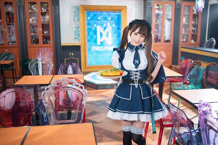 Akihabara Anime and Otaku Culture Walking Tour — Tokyo Otaku Guide photo 1