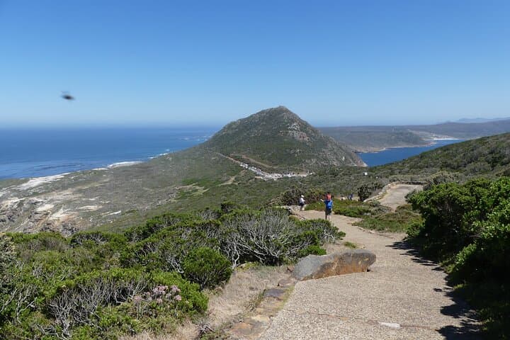 Private Cape Winelands Wine & Cheese Tour from Cape Town photo 2