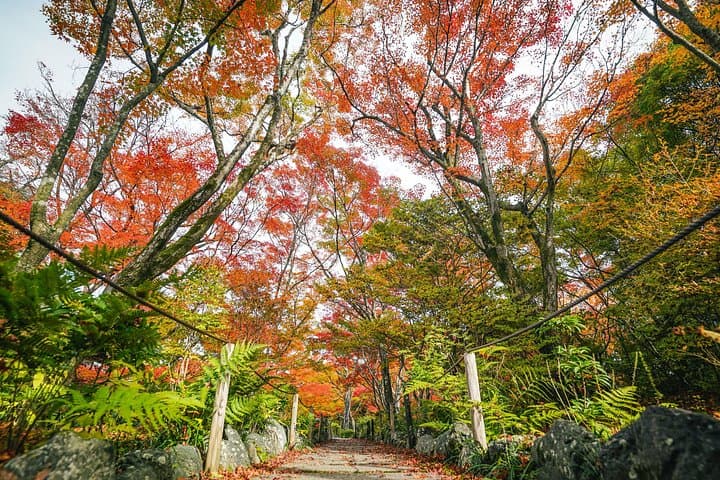 Arashiyama Bamboo Grove & Okochi Sanso: Half-Day Walking Tour Guide photo 6