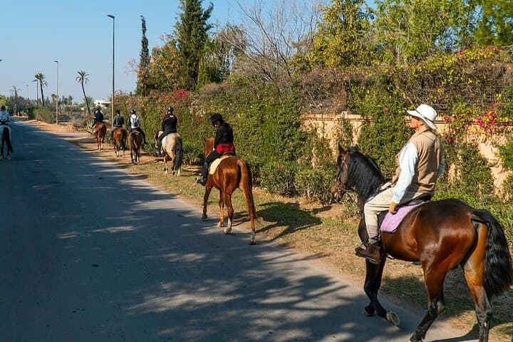 Palmeraie Horseback Ride & Mint Tea — Private Marrakech Palm Grove Experience