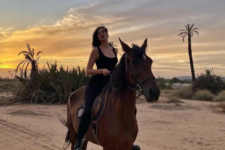 Palmeraie Horseback Ride & Mint Tea — Private Marrakech Palm Grove Experience photo 4